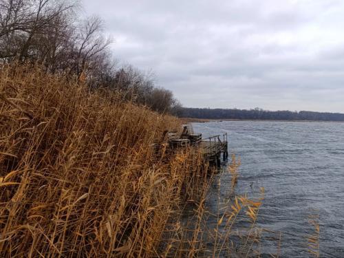 Похмура і туманна зима: у Запоріжжі очікуються хмарність та невеликі дощі