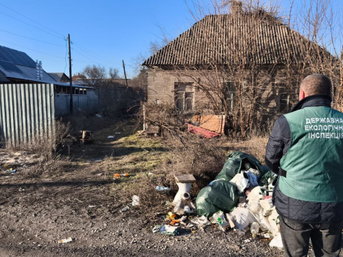 Смітник біля будинку у Шевченківському районі Запоріжжя