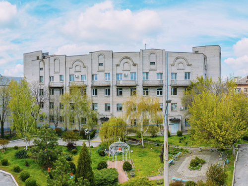 Ростуть не тільки в ботсаду - у Запоріжжі в дворі помітили екзотичну рослину (фото)