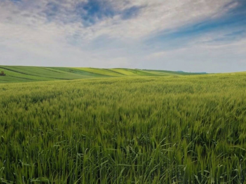 Земля без договору: в Запоріжжі чоловік роками користувався ділянкою і не платив