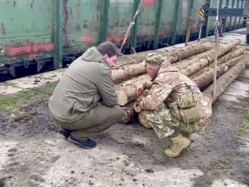 Захисники Запорізького напрямку укріплять бліндажі карпатськими соснами та смереками