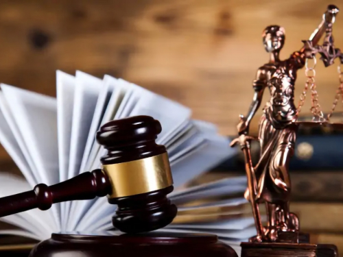 Ліс замість котеджів - на Запоріжжі прокуратура відсудила  3,4 га, які незаконно перевели під забудову