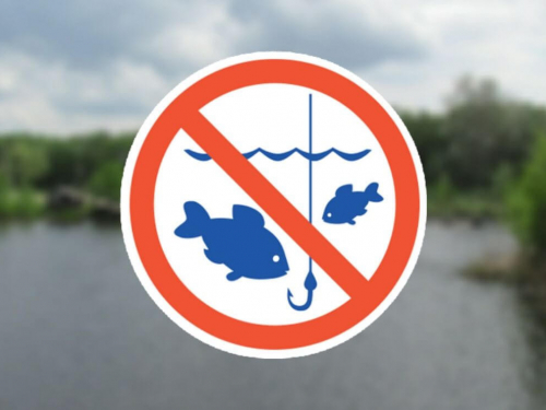 У Запорізькій області тимчасово заборонять ловити рибу - у чому причина