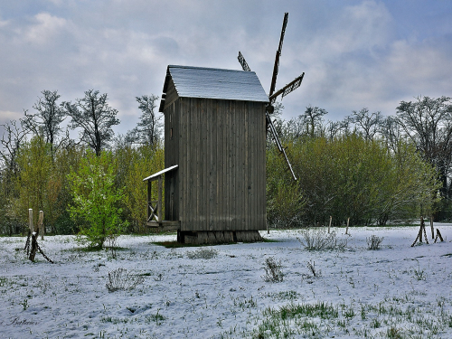 Квітуча весна раптово змінилася зимовою казкою — запорізький фотограф показав, як виглядає Хортиця та її мешканці після квітневого снігопаду (фото)
