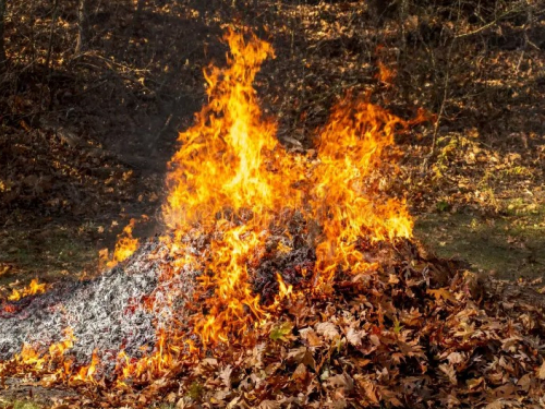 Осіння небезпека - чому спалювання листя шкодить довкіллю та може спричинити вибухи на Запоріжжі