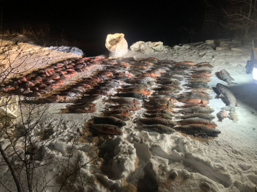 На Дніпровському водосховищі затримали двох браконьєрів - збитки перевищують пів мільйона гривень (фото)