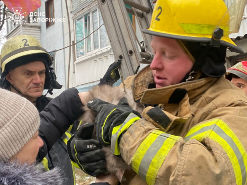 Загасили чотири пожежі та врятували котика - на які виклики, не пов'язані з воєнними діями, виїздили запорізькі надзвичайники за добу (відео, фото)