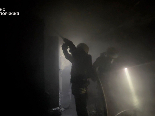 У Запоріжжі рятувальники винесли з палаючої квартири переляканого кота (фото, відео)