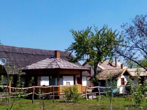 Квізи, що лікують -  як у Запоріжжі допомагають ветеранам повернути радість життя