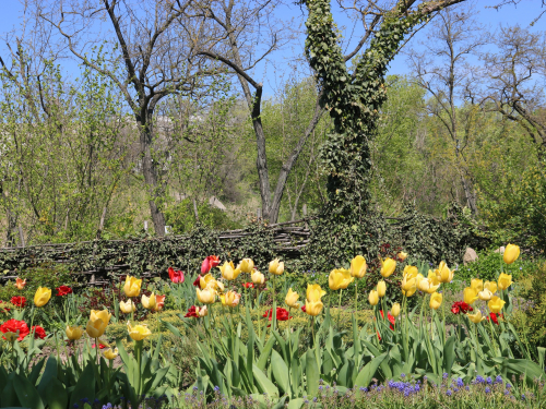 Парк Перемоги в Запоріжжі в квітні 2026 року. Фото: Анна Ковальова