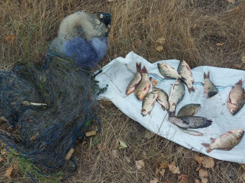 Наловив риби на 25 тисяч - на Дніпровському водосховищі затримали браконьєра (фото)