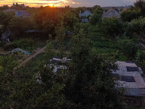 Планування ділянки на городі. Фото: Антоніна Фролова