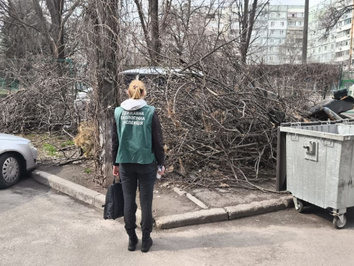 Сміття вище за баки: запоріжці повідомили екологам про стихійне звалище на бульварі Будівельників (фото)