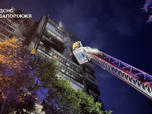 У Запоріжжі рятувальники врятували 77-річного чоловіка та собаку з пожежі на 10 поверсі багатоповерхівки