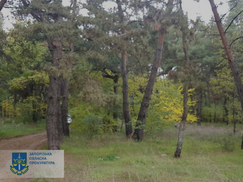 У Запорізькій області землі лісництва незаконно передали у приватну власність - подробиці