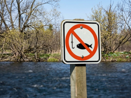 У Запорізькій області діятиме заборона та обмеження на вилов риби: що треба знати