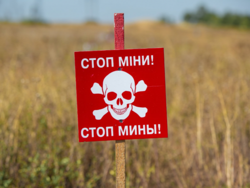 Запорізьким піротехнікам допомагає чотирилапий красень - відео