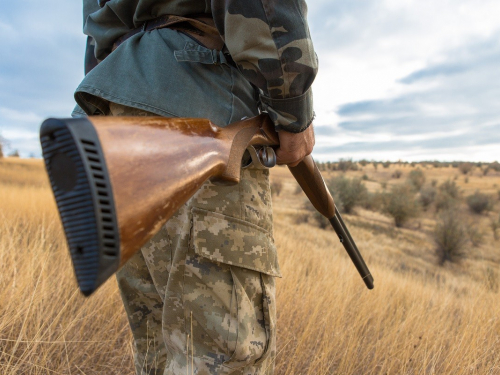 З рушницею та тепловізором - двох жителів Бердянська засудили за стрілянину в заповіднику на Львівщині