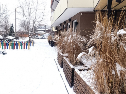 Сильні морози і слизькі дороги - прогноз погоди на вихідні 17 та 18 січня в Запоріжжі