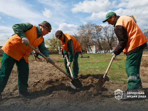 Замість бур'янів та пилу — тінь і затишок: на пустирі у Хортицькому районі Запоріжжя висадили десятки дерев (фото)