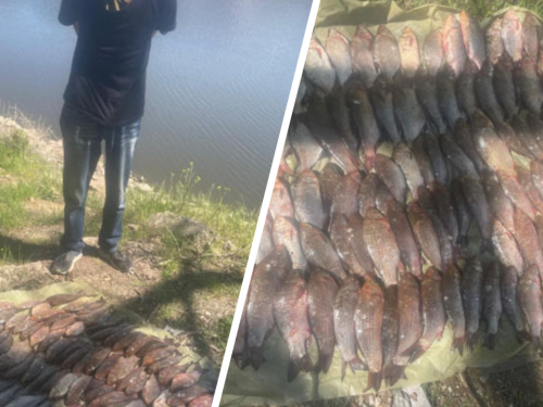 Під час перевірки на річці Дніпро у Запоріжжі інспектори рибоохоронного патруля затримали чоловіка, який незаконно ловив рибу сіткою просто у затоці