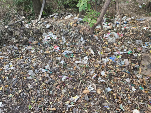 У Хортицькому районі Запоріжжя виявили незаконне сміттєзвалище