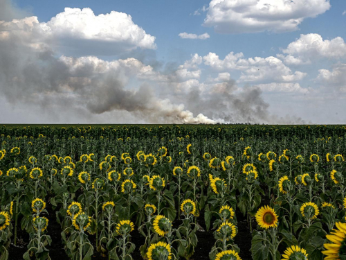Світлина запорізького фотографа про контрасти війни стала однією з найкращих у світі в 2025 році