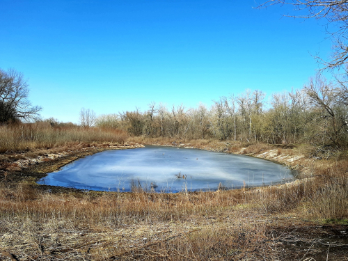 Озеро у плавнях острова Хортиця. Фото Валерія Кємєнова