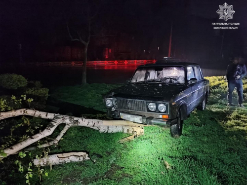 У Запоріжжі п'яний водій збив дерево - що ще вражає у цій ситуації