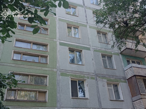 Вогонь спалахнув у коридорі - в Запоріжжі надзвичайники загасили пожежу на дев'ятому поверсі (фото)