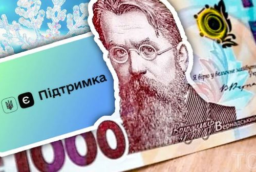 Зимова підтримка