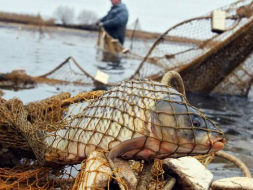 Біля бази відпочинку ловили рибу з порушеннями - у Запоріжжі двоє рибалок отримали штрафи (фото, відео)
