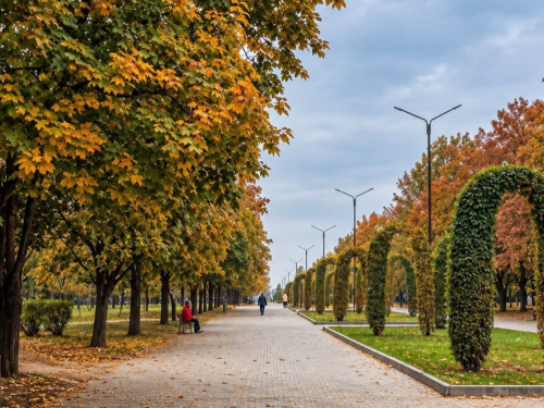 Запорізькі синоптики попереджають про тумани та значні дощі