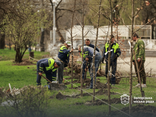 У парку "Дубовий гай" висадили нову алею, фото: Запорізька міська рада