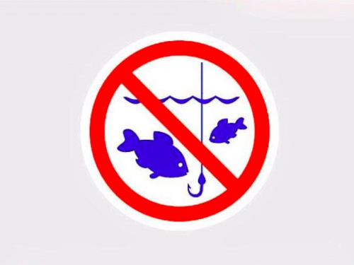 У Запоріжжі та області стартувала заборона на вилов риби у зимувальних ямах - скільки прийдеться заплатити порушникам