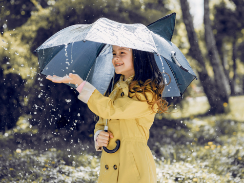 Осіння погода у Запоріжж 15-16 листопада  - тумани, багряне листя та коливання температур