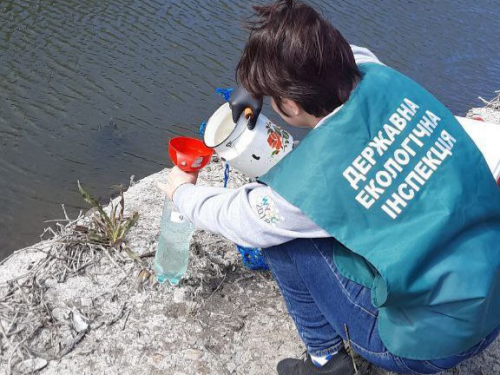 Загибель риби в районі Вирви - у Запоріжжі екологи зафіксували відхилення від норми показників води (фото)