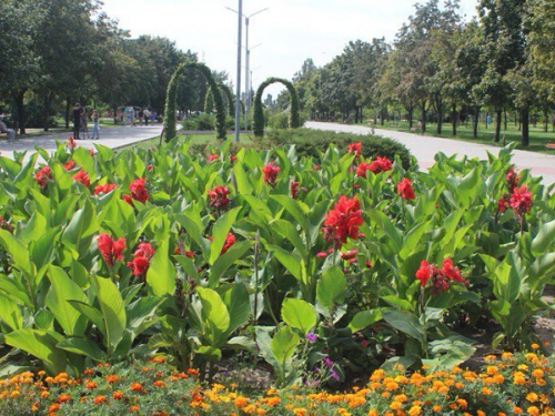 Мешканці Запоріжжя цілий місяць голосували за перейменування одного з районів - що обрала більшість