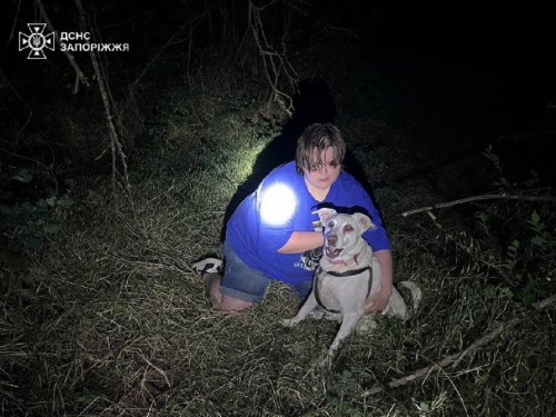 У запорізькому парку собака провалився у відкритий колодязь (фото)