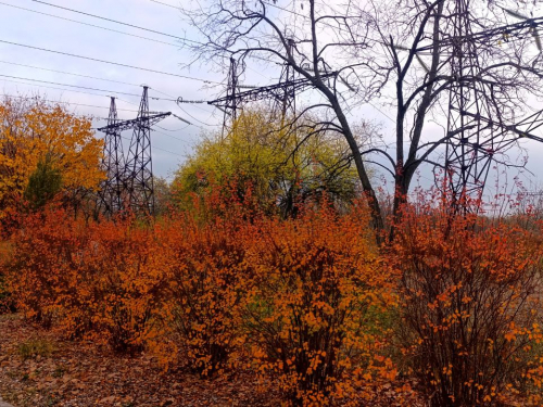 Тепло й без дощу - прогноз погоди у Запоріжжі на 6–7 листопада
