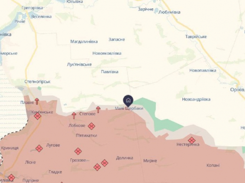 Відновлено контроль над Малими Щербаками - ЗСУ підняли український прапор над селом (відео)