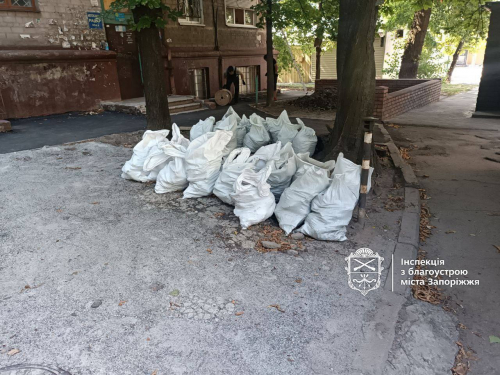 Обурились через сміття - у Запоріжжі мешканці будинку поскаржились на будівельні відходи у дворі