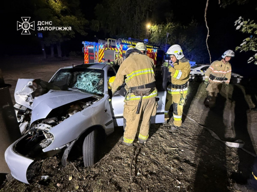 У Запоріжжі водій врізався в електроопору - рятувальники деблокували його з понівеченого авто (фото)