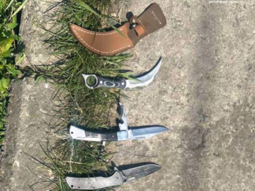 Увірвалися та почали бійку - до подвір'я мешканця Запоріжжя вдерлися розбійники з ножами (фото)