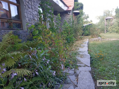 Коли і навіщо біля Запорізького дубу побудували музейний комплекс - фото