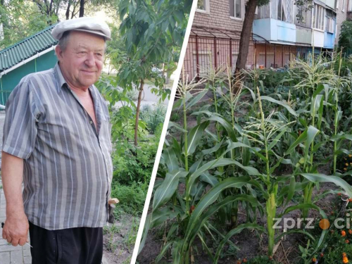 У Запоріжжі переселенець перетворив пустир на квітучий город (фото)