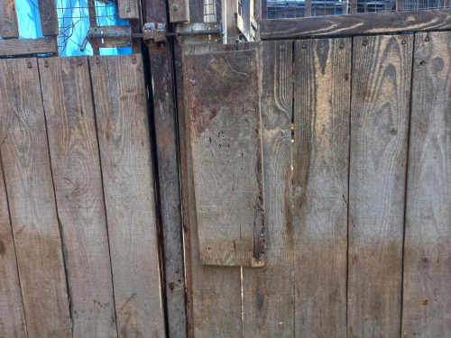 Загинув пес, вольєри зруйновані: під час нічного обстрілу Запоріжжя вчергове постраждав притулок для тварин 