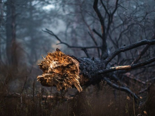 Запорізький фотограф показав незвичайні знімки осінньої Хортиці