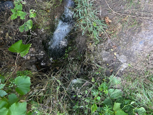 Запоріжці поскаржилися на виток невідомих речовин у річку Суха Московка - на місце виїхали екологи