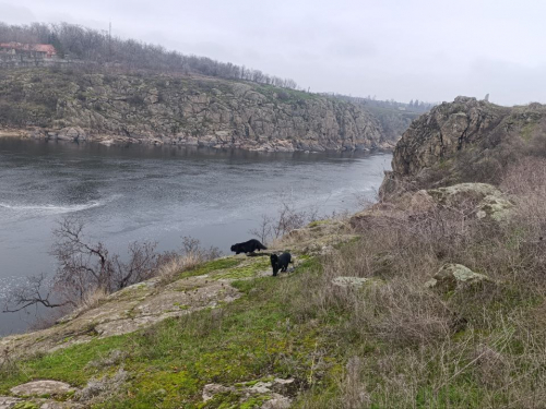 Весна на порозі: якою буде погода в Запоріжжі цими вихідними